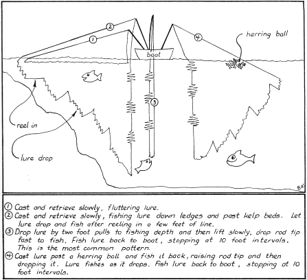 Steelhead Bobber Tip