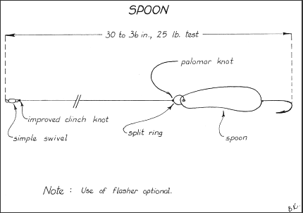 Flasher & Spoon Setup - Trolling for Chinook and Coho Salmon