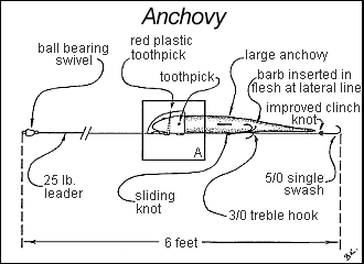 Tough Knots For Big Fish