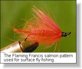 Salmon Flies - Fresh and Saltwater Flies for Pacific Salmon