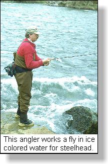 STEELHEAD. By Barry M. Thornton.