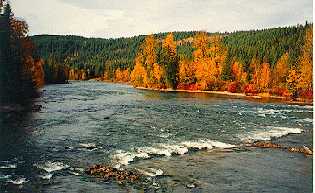 Quesnel River at Likely, BC
