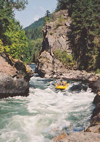 Adams River rafting