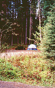 Campground at Purden Lake Provincial Park 