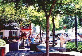 Dining & Shopping in White Rock
