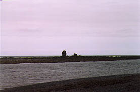 nootka sound history