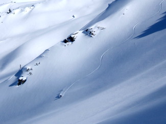 Tracks on Solitaire