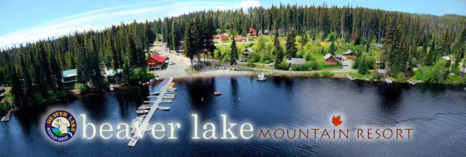 Mountain Lodge & Lake Cabin, Camping, Fishing