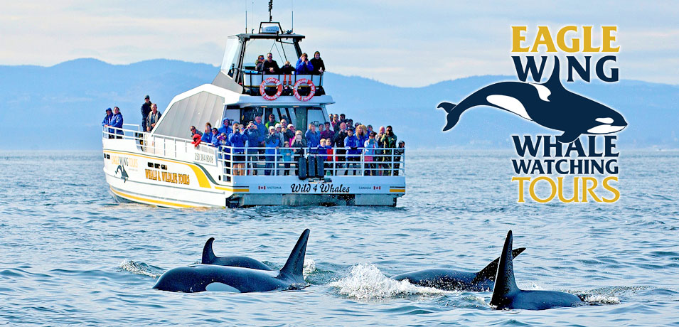 Eagle Wing Whale Watching & Wildlife Viewing Tours, Victoria, Vancouver